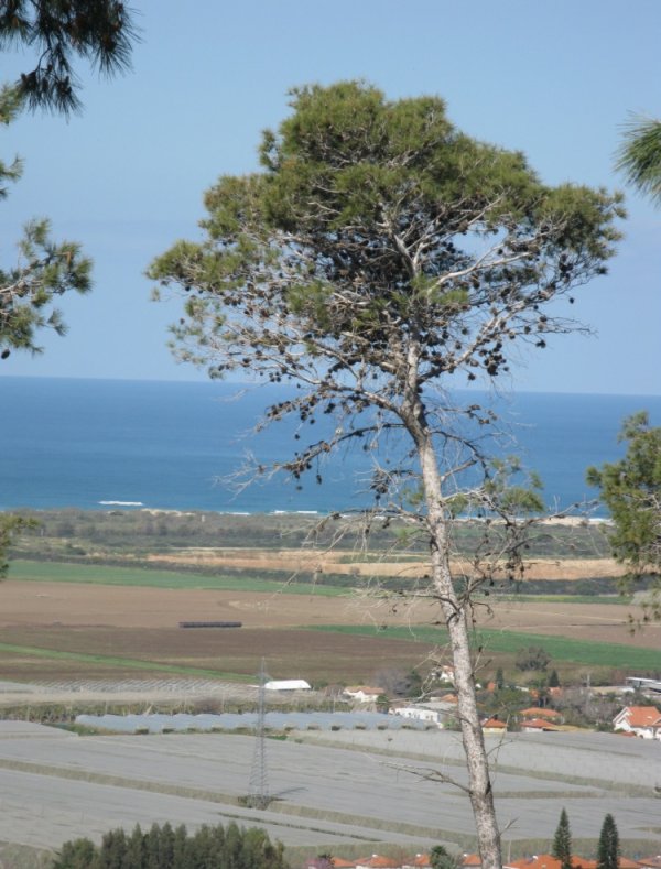  | موسوعة القرى الفلسطينية