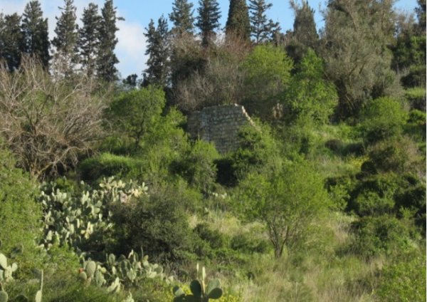  | موسوعة القرى الفلسطينية