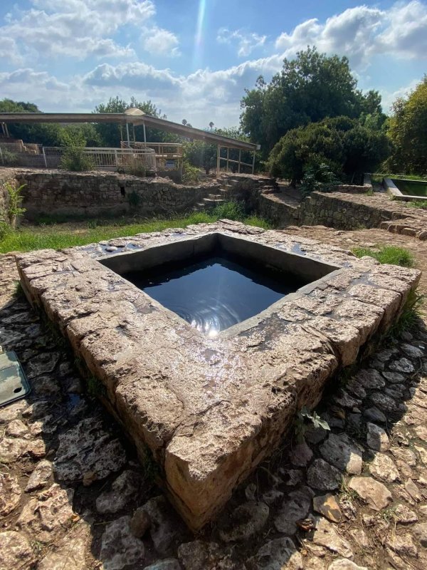 قرية ام العلق