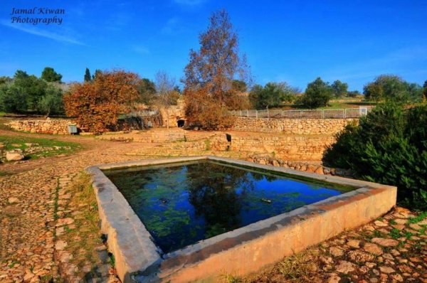 قرية ام العلق