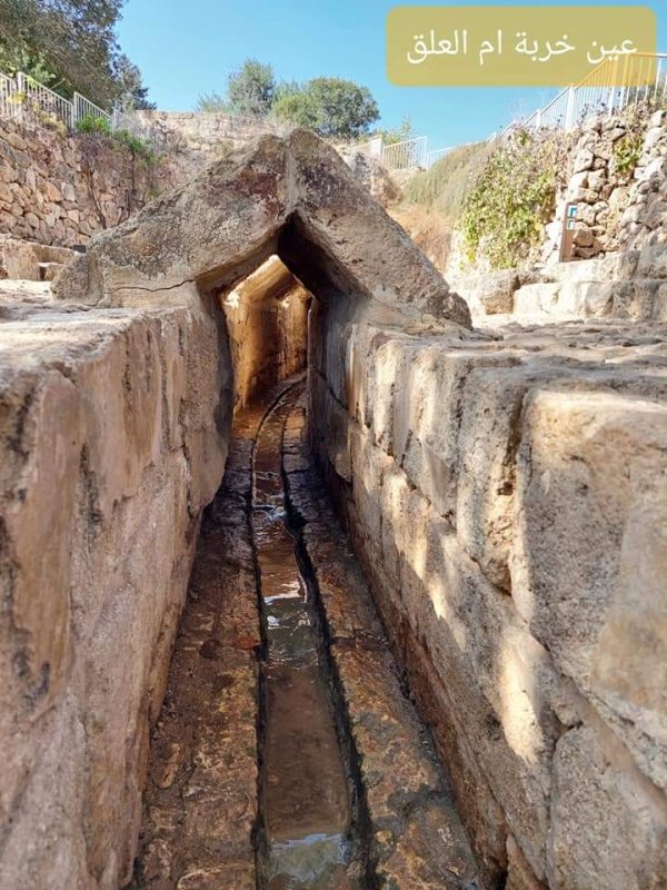 قرية ام العلق