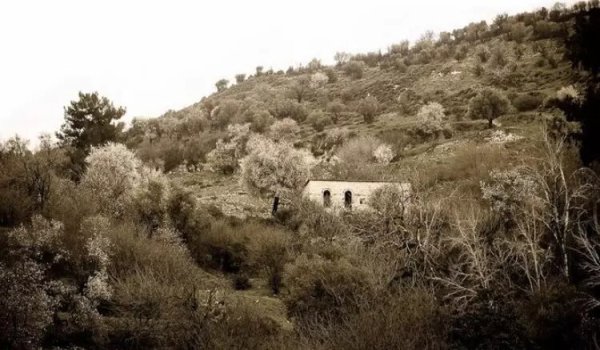  | موسوعة القرى الفلسطينية