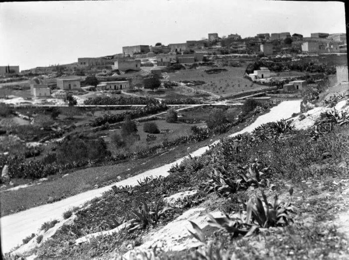 يافة الناصرة  | موسوعة القرى الفلسطينية