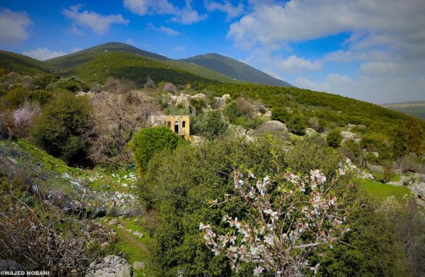  | موسوعة القرى الفلسطينية