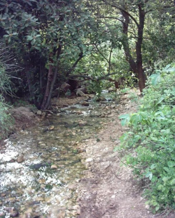  | موسوعة القرى الفلسطينية