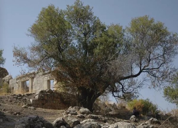  | موسوعة القرى الفلسطينية