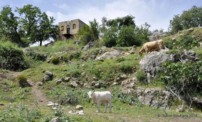 مِيرُون  | موسوعة القرى الفلسطينية