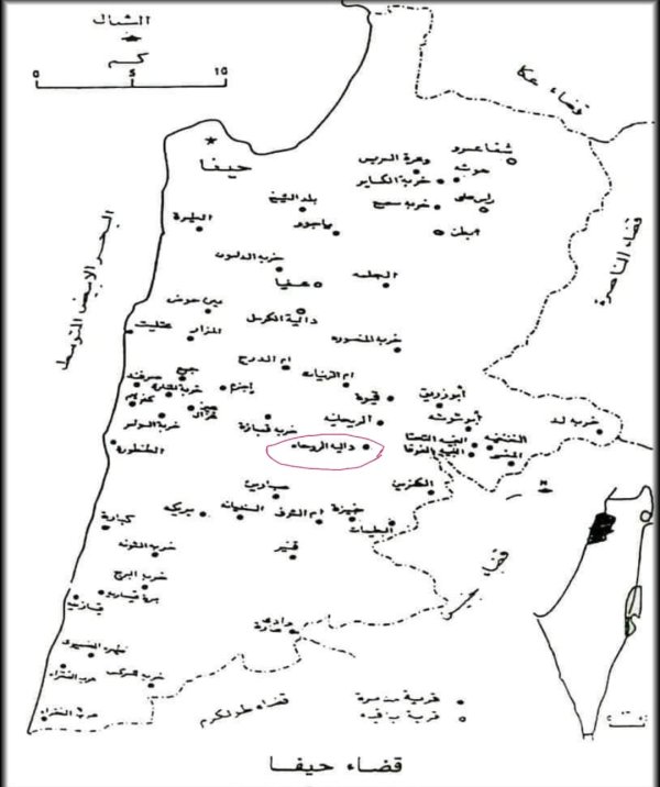 قرية دالية الروحة