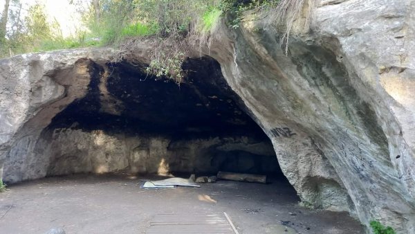 قرية دالية الروحة