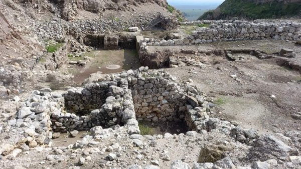 قرية دالية الروحة