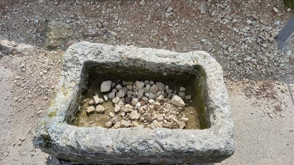 قرية دالية الروحة