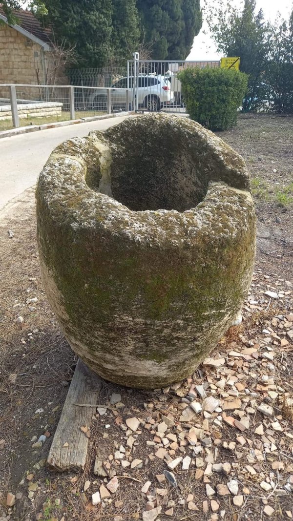 قرية دالية الروحة