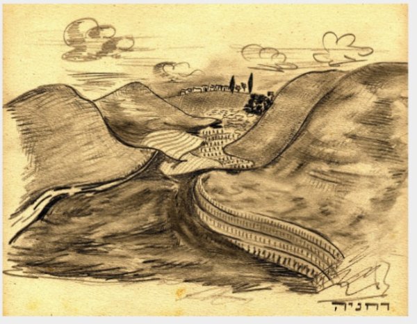 مخطط يبين أراضي قرية الريحانية-حيفا