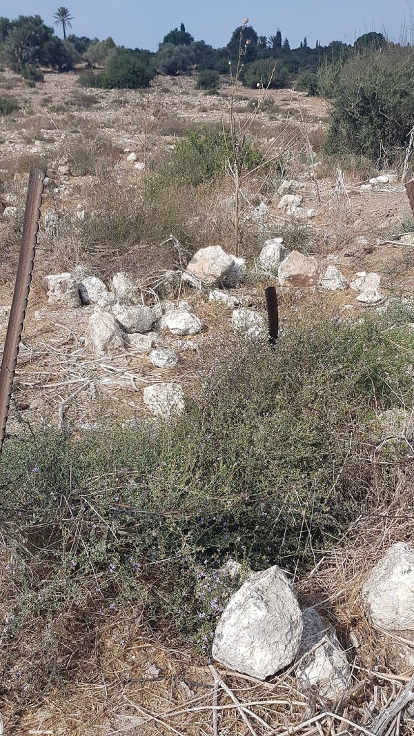 بئر قرية السنديانة