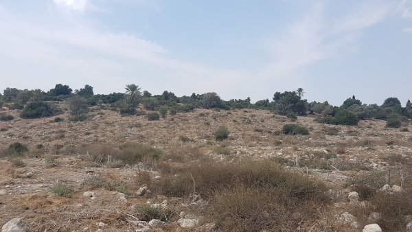 موقع حارة عائلة نزّال في السنديانة المدمرة