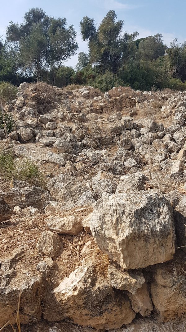 أنقاض مدرسة السنديانة