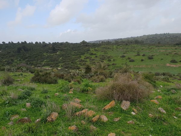 إطلالة من أراضي قرية السنديانة وتظهر فيها منازل القرية المدمرة