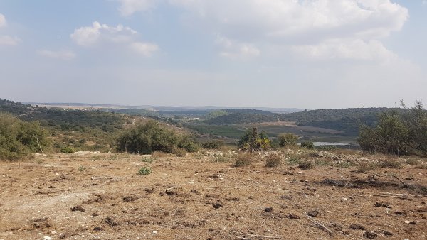 إطلالة من أراضي قرية السنديانة وتظهر فيها منازل القرية المدمرة