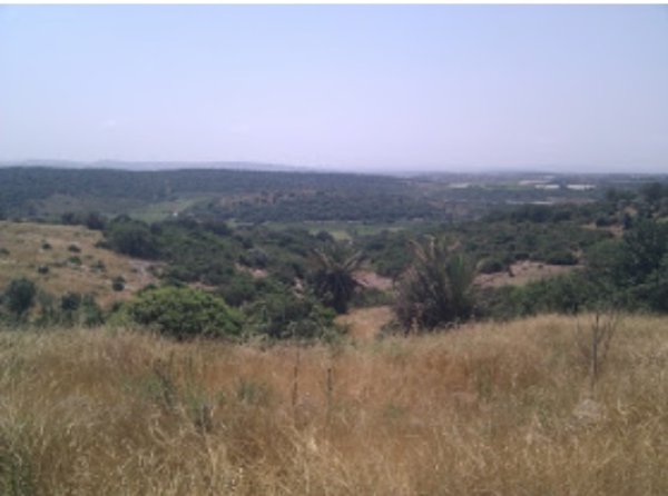 إطلالة من أراضي قرية السنديانة