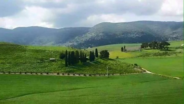 صور لأراضي صبارين نقلاً عن صفحة شباب صبارين على الفيسبوك