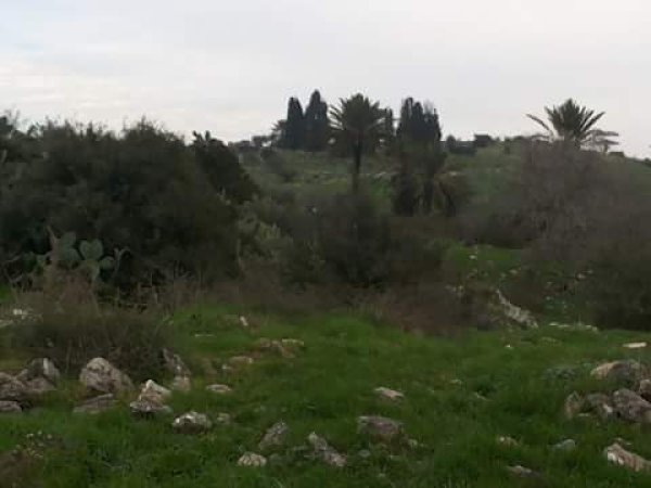 صور لأراضي صبارين نقلاً عن صفحة شباب صبارين على الفيسبوك