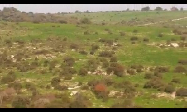 صور لأراضي صبارين نقلاً عن صفحة شباب صبارين على الفيسبوك