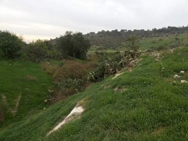 صور لأراضي صبارين نقلاً عن صفحة شباب صبارين على الفيسبوك