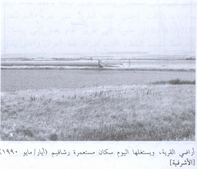 قرية الأشْرَفِيَّة/ أشْرَفِيَّة عبد الهادي / بيسان، موسوعة القرى الفلسطينية