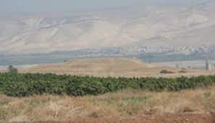 البِيْرَة  | موسوعة القرى الفلسطينية