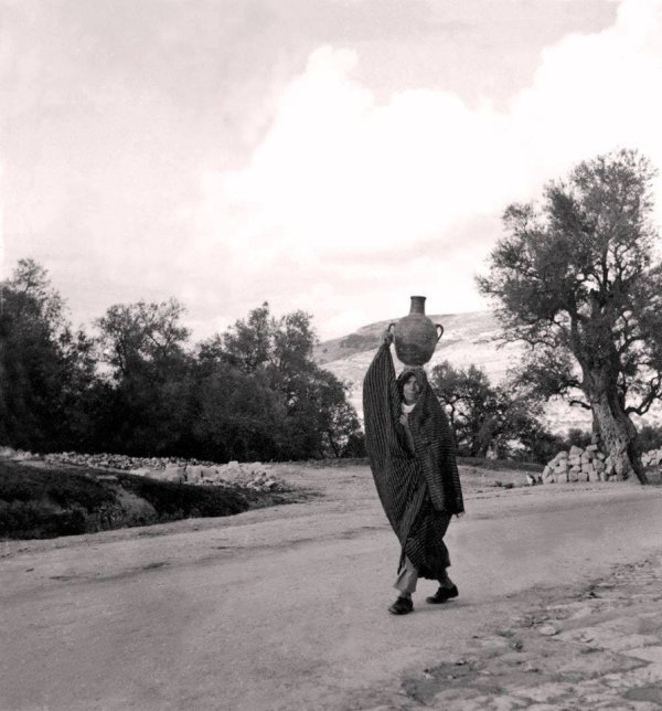 طريق القرية