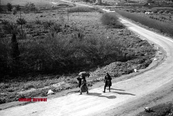 طريق القرية