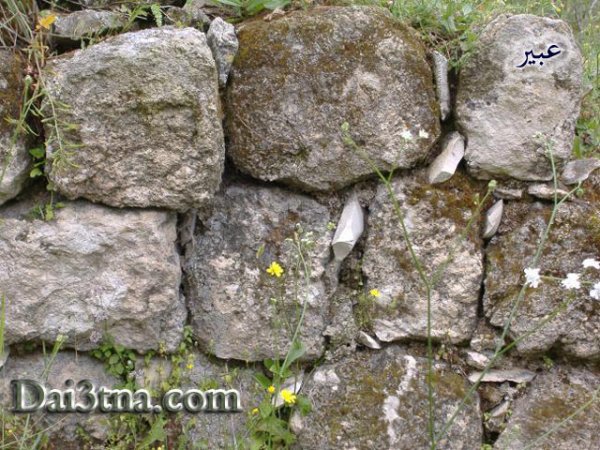 انقاض القرية