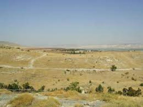 قرية الحميدية