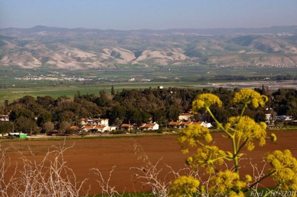 قرية الحميدية