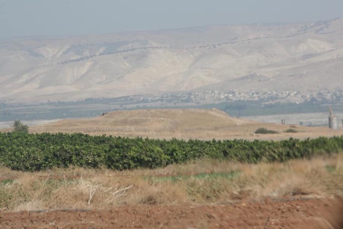 الفاتور  | موسوعة القرى الفلسطينية