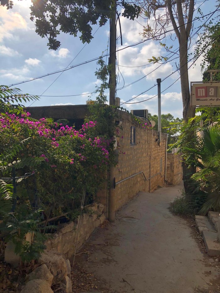 عين حوض/ من قرى الهيجاء /  قرى جبل الكرمل  | موسوعة القرى الفلسطينية