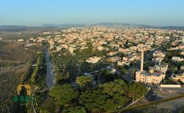 كفر قَرْع: زهرة المثلث/ قرى الروحة  | موسوعة القرى الفلسطينية