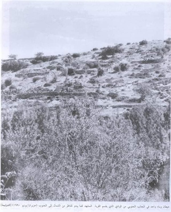 قرية الدوايمه قبل النكبة