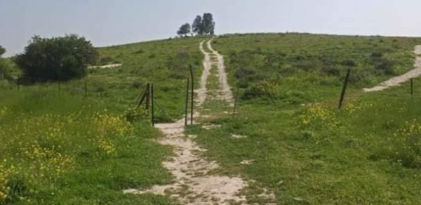 قرية الدوايمه