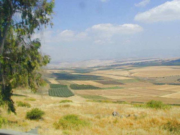 قِيّرَة وقَامُونْ/ قرى الروحة  | موسوعة القرى الفلسطينية