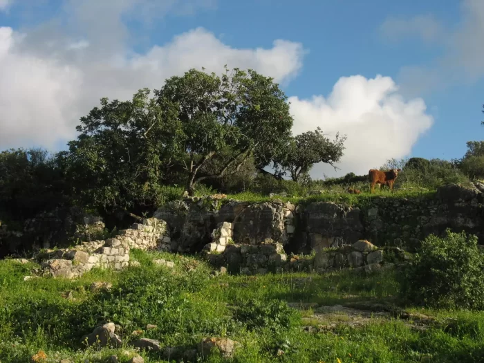 المزار / مزار إجزم /  مزار الساحل / قرى جبل الكرمل  | موسوعة القرى الفلسطينية