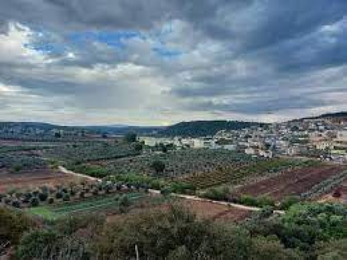 هوشة/ أهلها من أصول جزائرية  | موسوعة القرى الفلسطينية