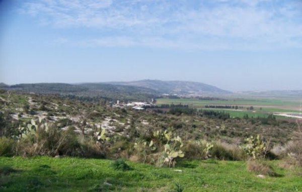 أراضي قرية المنسي قضاء حيفا