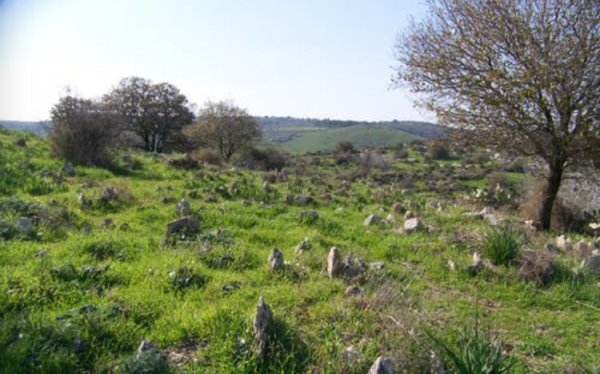 أنقاض مقبرة قرية المنسي- حيفا