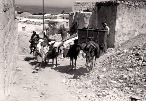 تنقل اهل القرية