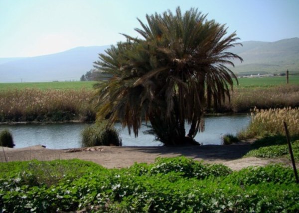 قرية الساخنة