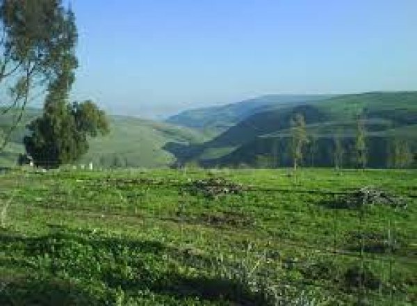 قرية الطيرة / طيرة المرج، طيرة الزعبية