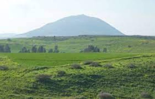 قرية الطيرة / طيرة المرج، طيرة الزعبية