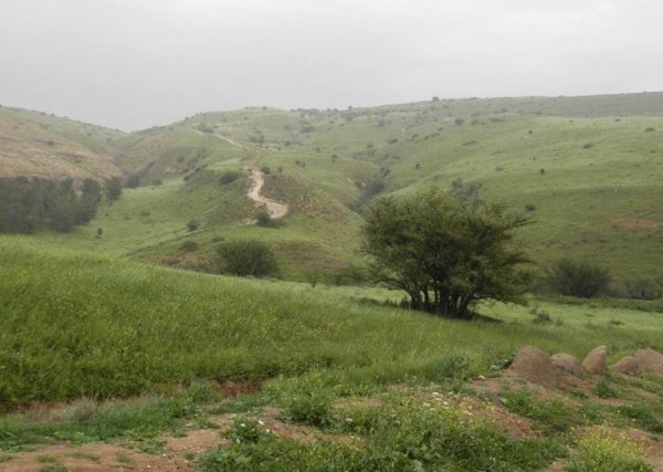 قرية الطيرة / طيرة المرج، طيرة الزعبية