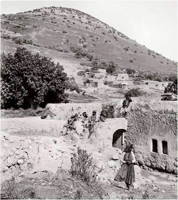 مباني القرية